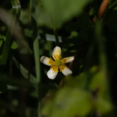 Ine 2024 06 23naamloos 53