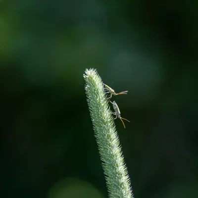 Ine 2024 06 23naamloos 77