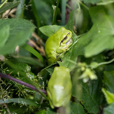 Ine 2024 06 23naamloos 93