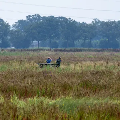 Ine 2024 07 21naamloos 111