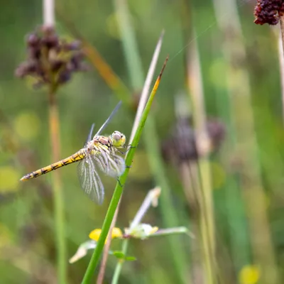 Ine 2024 07 21naamloos 14