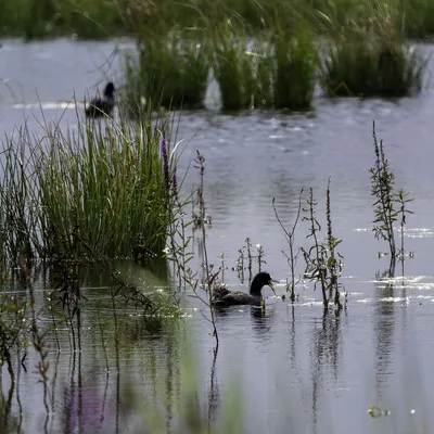 Ine 2024 07 21naamloos 2 bewerkt