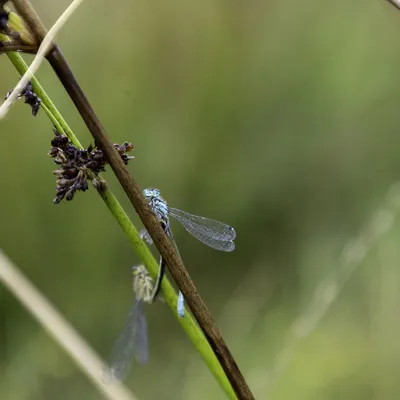 Ine 2024 07 21naamloos 24 kopie