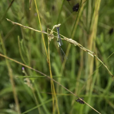 Ine 2024 07 21naamloos 36 bewerkt