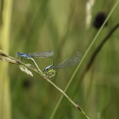Ine 2024 07 21naamloos 45 bewerkt