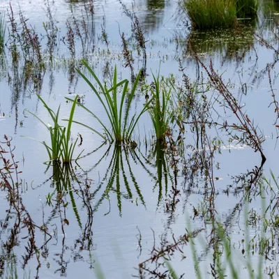 Ine 2024 07 21naamloos 72