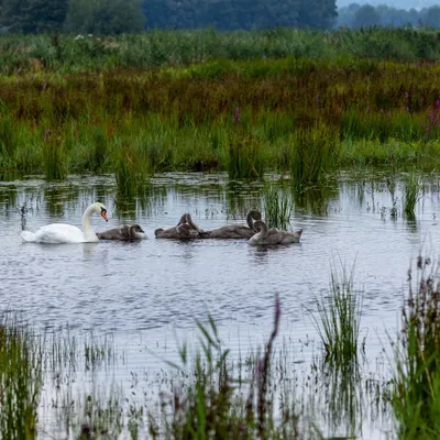 Ine 2024 07 21naamloos 87