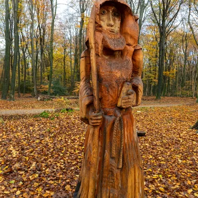 Ine 2024 11 17naamloos 85