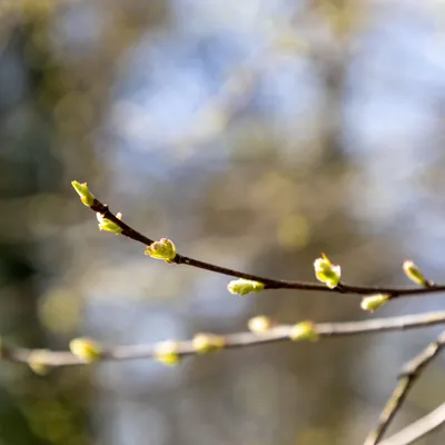 Ine 2025 03 23naamloos 17