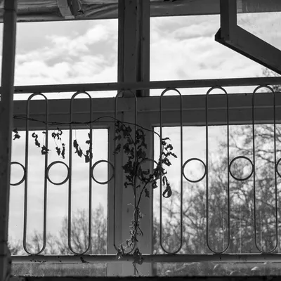 Ine 2025 03 23naamloos 47