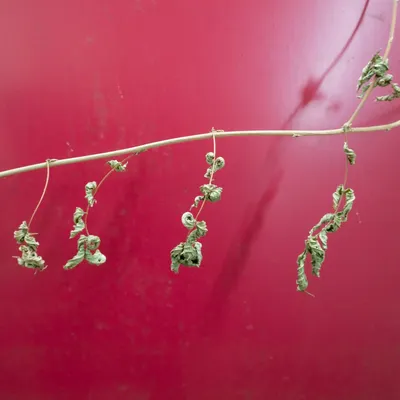 Ine 2025 03 23naamloos 48