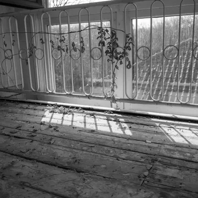 Ine 2025 03 23naamloos 52