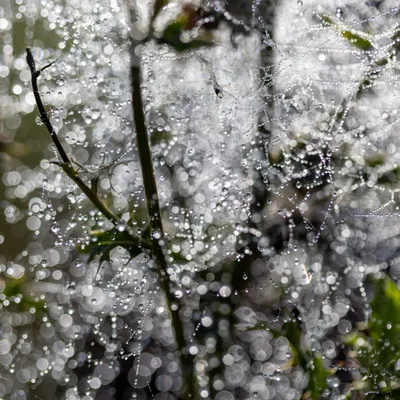 Ine 2025 09 28naamloos 5 scaled