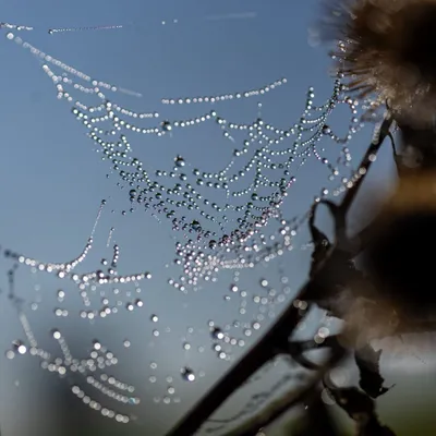 Ine 2025 09 28naamloos 7 scaled