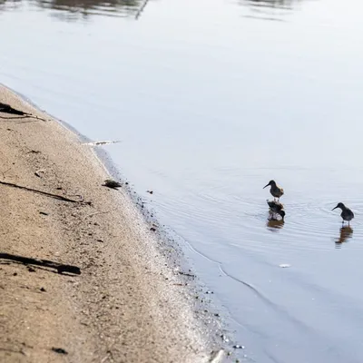 Ine 2025 09 28naamloos 79 scaled