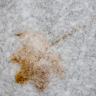 Ine 2025 11 23naamloos 129