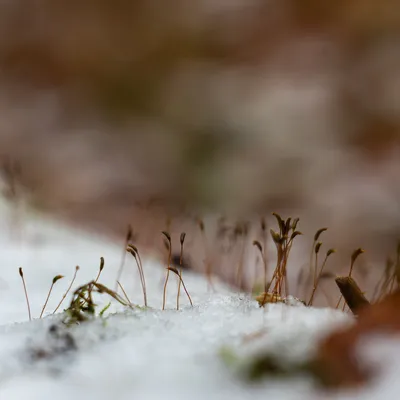 Ine 2025 11 23naamloos 133