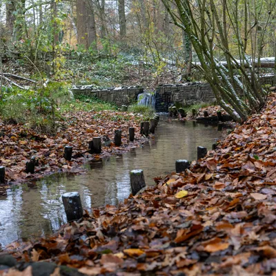 Ine 2025 11 23naamloos 77