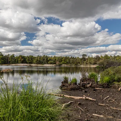 Inge Pfeil Belversven 2