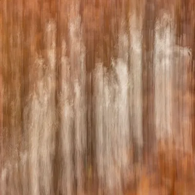 Inge Pfeil Residence Rhenen 1