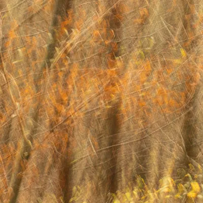 Inge Pfeil Residence Rhenen 10