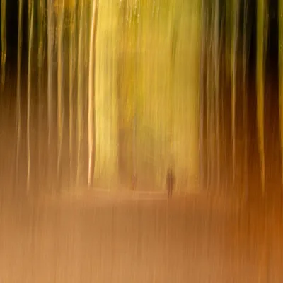 Inge Pfeil Residence Rhenen 9