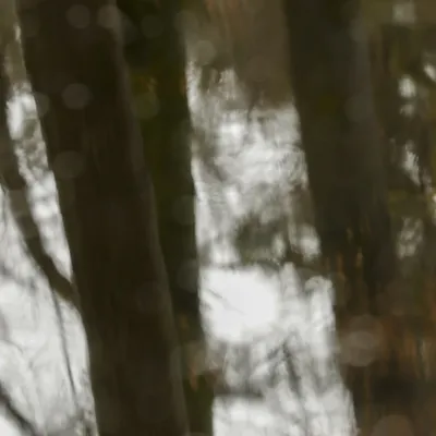 Kasteel Hoekelum 240324 Bennenkom 48A9448