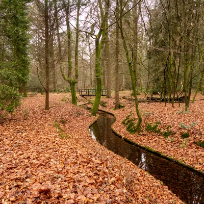 Kroondomein Apeldoorn 2403