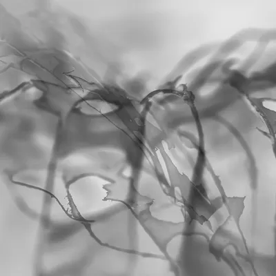 Naamloos 2 kopieren 3