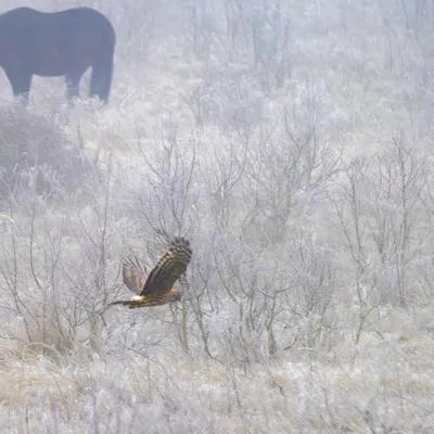 PC280119 Verbeterd NR