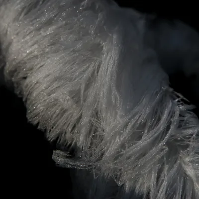 Posbank 160225 De Steeg 48A0750