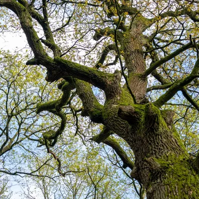 Renkums Beekdal 5658