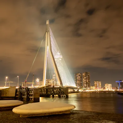 Rotterdam 2895