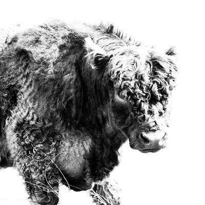 zelfontspanners 140419 millingenwaard mg 6373 2