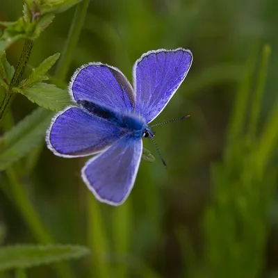 zelfontspanners 260519 buren mg 6524